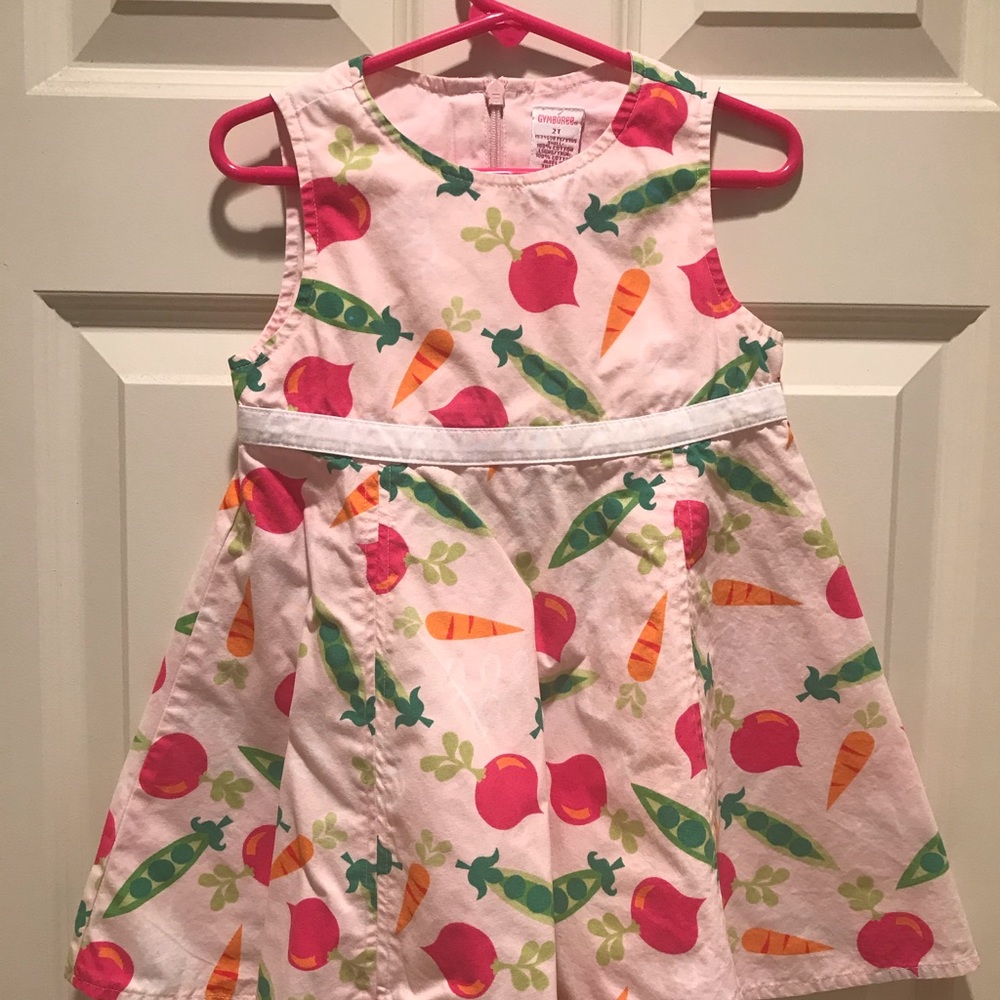 GYMBOREE GIRLS 2T DRESS